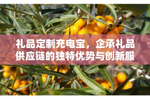 礼品定制充电宝，企承礼品供应链的独特优势与创新服务