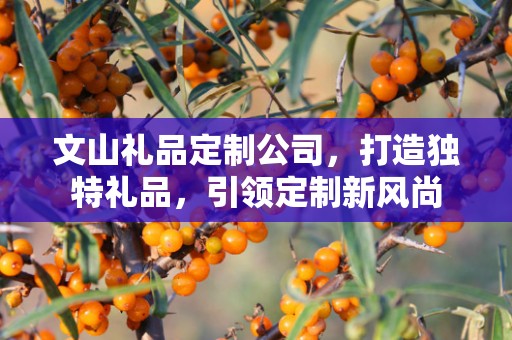 文山礼品定制公司，打造独特礼品，引领定制新风尚