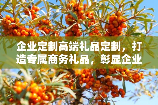 企业定制高端礼品定制，打造专属商务礼品，彰显企业品味与价值