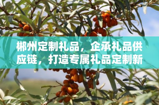 郴州定制礼品，企承礼品供应链，打造专属礼品定制新体验