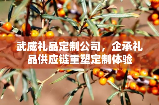 武威礼品定制公司，企承礼品供应链重塑定制体验